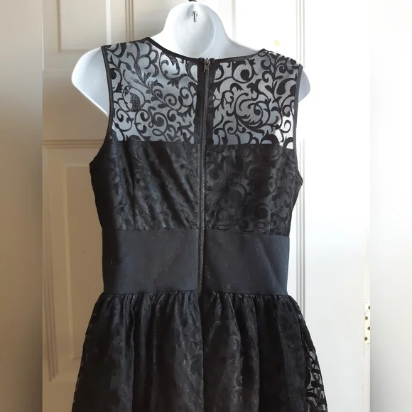 Flocked Velvet Dress - Picture 10 of 11